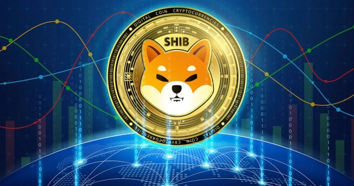 shiba-inu-3